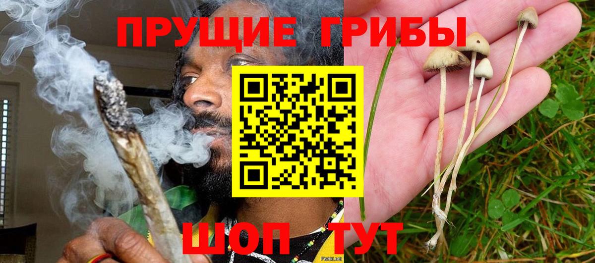 Галлюциногенные грибы прущие грибы Гуково