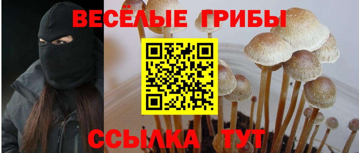 Гуково  Галлюциногенные грибы Cubensis  Вход с VPN  Галлюциногенные грибы ЛСД 